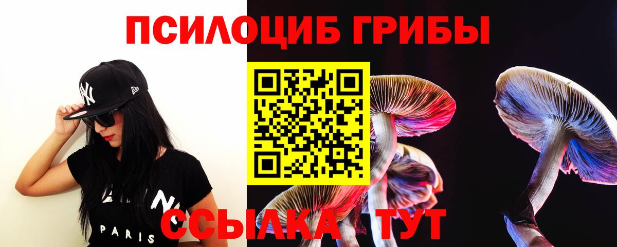 Псилоцибиновые грибы прущие грибы Майкоп